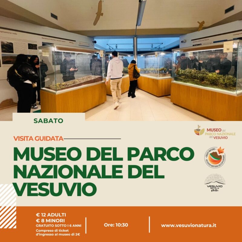 Visita guidata al parco nazionale del vesuvio